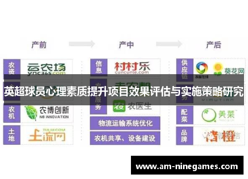 英超球员心理素质提升项目效果评估与实施策略研究